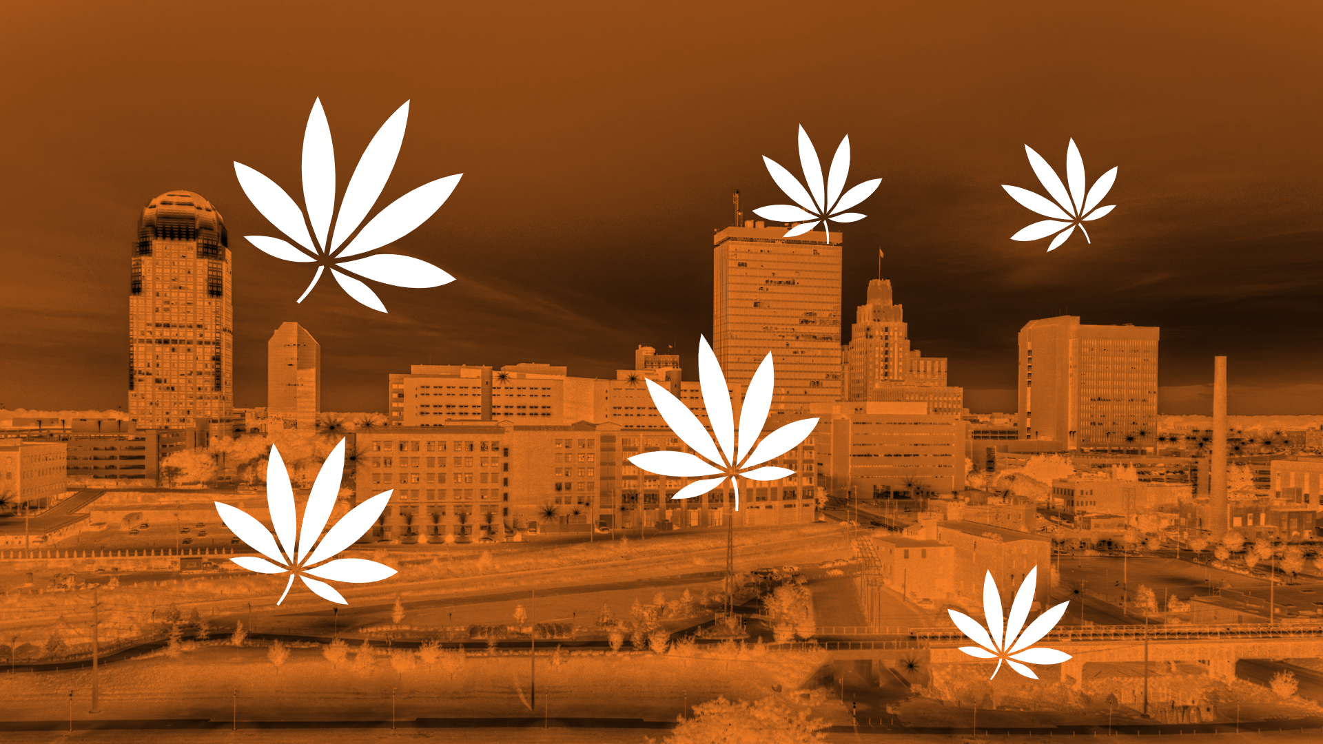 Fundamentals Still Work. Even in Cannabis